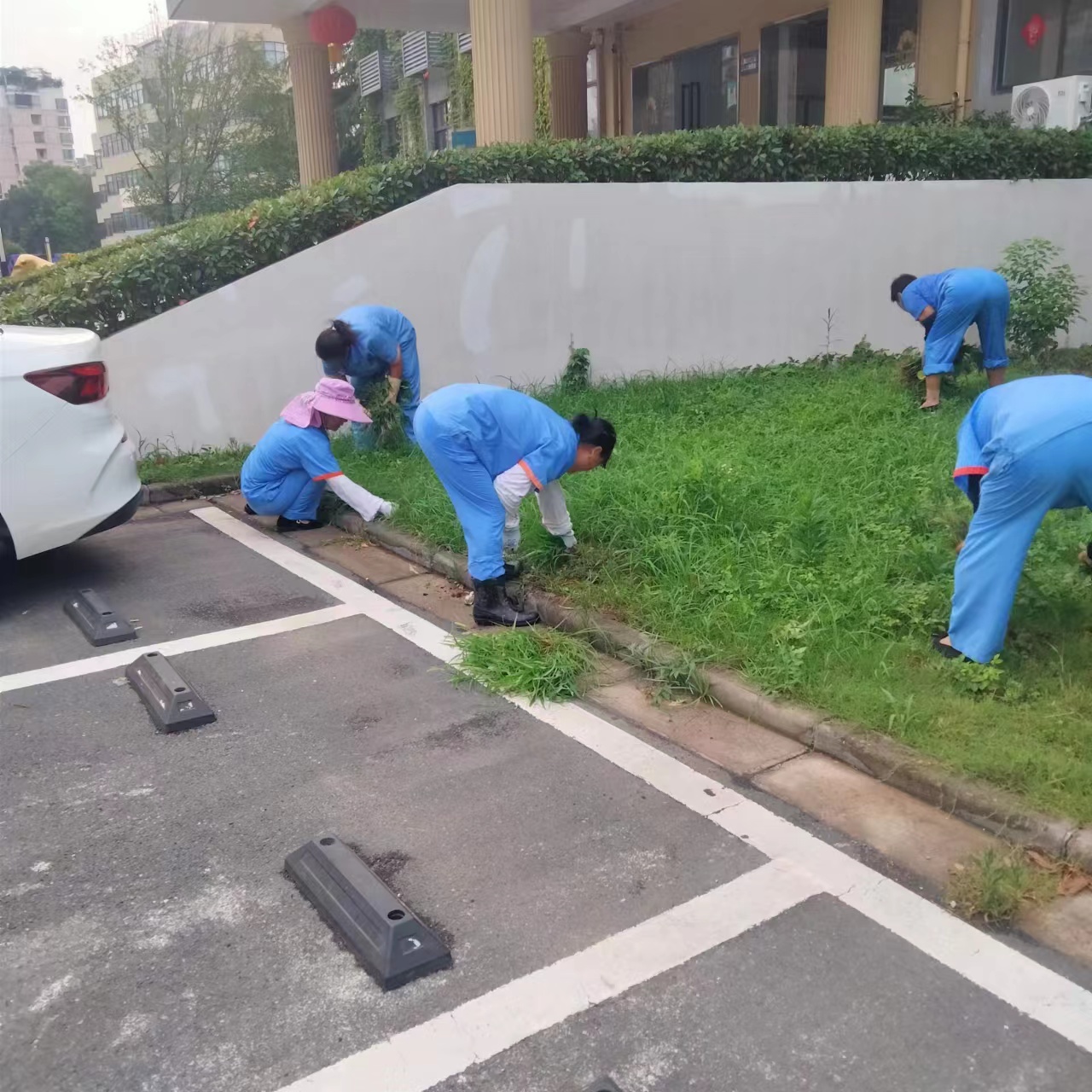 “園區勤打理，綠化正當時”——廬陽建華文創園積極開展環境美化工作